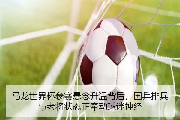 马龙世界杯参赛悬念升温背后，国乒排兵与老将状态正牵动球迷神经